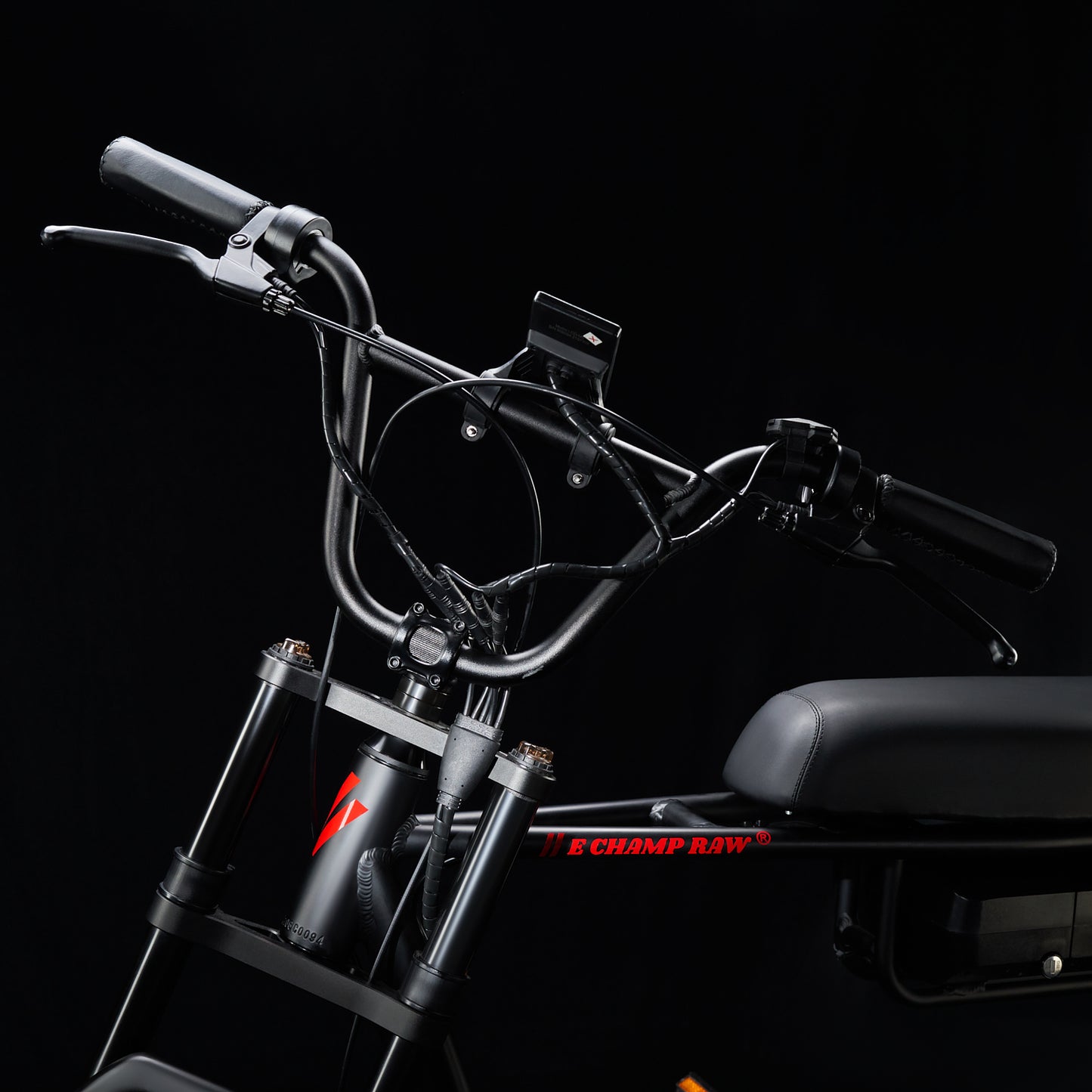 E-Champ RAW Retro Fat Tyre Electric Bike Baluga Black